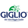Giglio