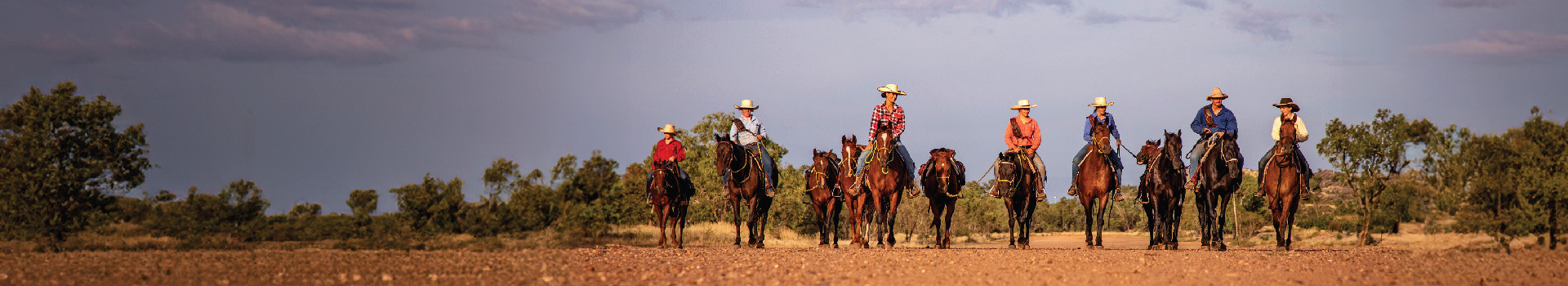 Australian Beef Cuts