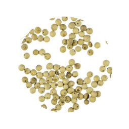 Kampot White Pepper Cambodia