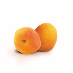 Apricot Nappage Hot Process - Abrigel